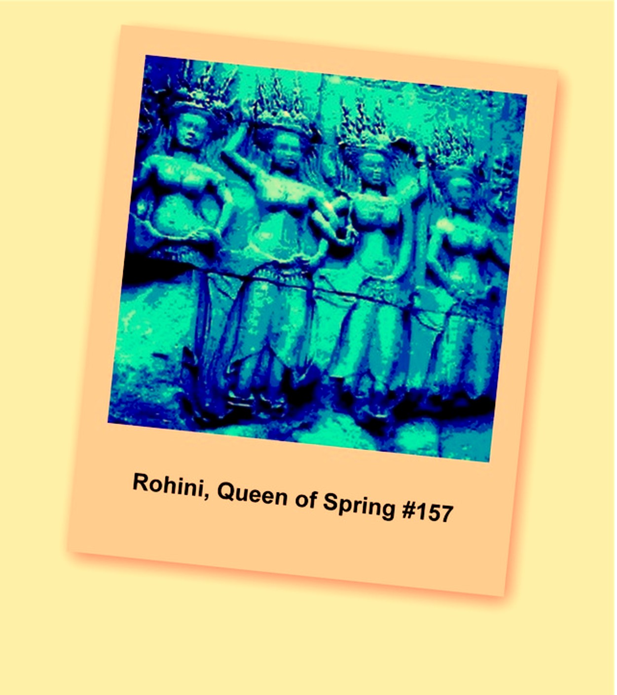 ROHINI SPRING QUEEN